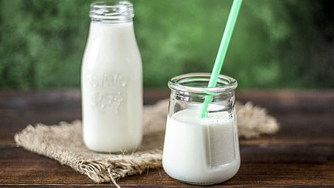 So many nutrients in milk and milk products?