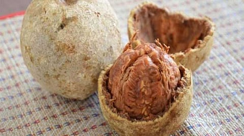 Pitham Thanithu Siddhathai Theliya vaikkum Vilaam Pazham