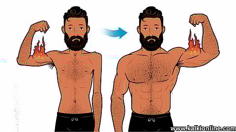 Fast Weight Gain Foods.