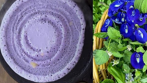 Have you eaten healthy purple colored dosa?