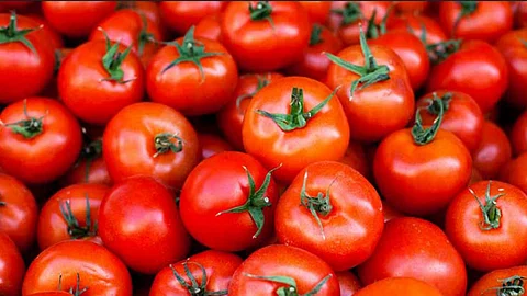 Do you know the health benefits of tomatoes?