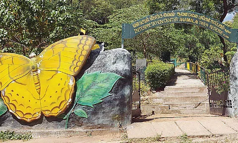 Butterfly park in Coimbatore!