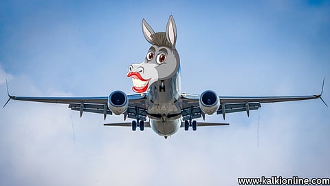 Indians trying to enter America by 'donkey Flight'.