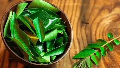 Plant leaves and their uses
