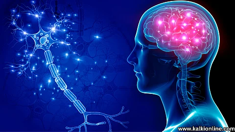 Technology that connects the brain with the computer.