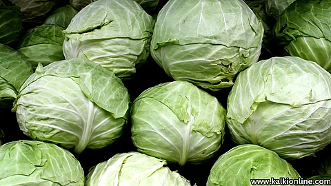 Cabbage Soup.