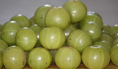 Benefits of Gooseberry