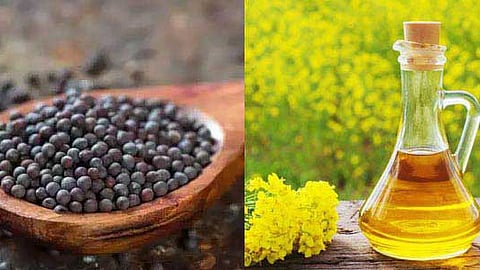 Do you know why should use mustard oil in winter?