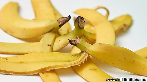 Banana peel that cures diseases.