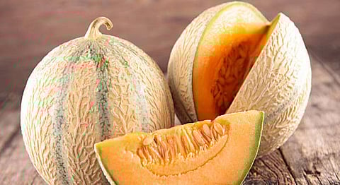 Mulam fruit seeds contain valuable nutrients