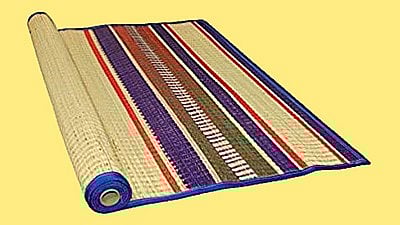 மழையால் உங்க வீட்டு பாயில் பங்கஸ் உள்ளதா? இதோ அதனை சரிசெய்ய டிப்ஸ்!