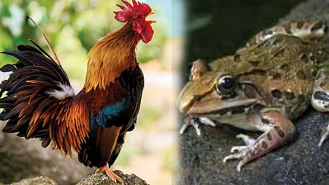 Motivational articles in tamil!