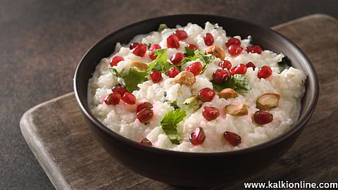 curd rice