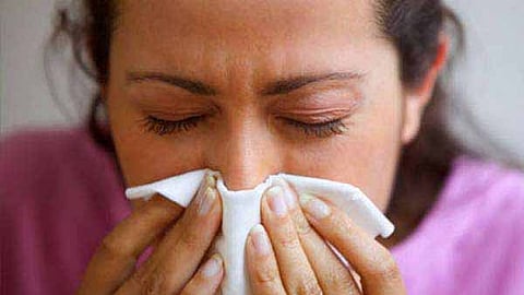 A fruit recommended by studies to control asthma!