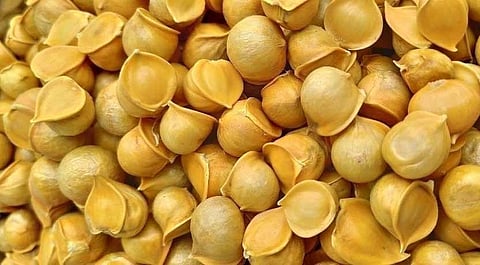 Do you know the health benefits of Kashmiri Mountain Garlic?