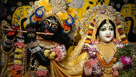 Nidhivana Radha Krishna Temple is a mysterious forest