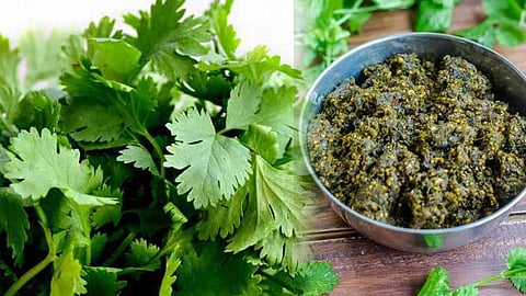 கொத்தமல்லி தொக்கு...