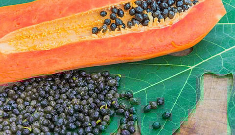 Do you know the benefits of eating papaya seeds?