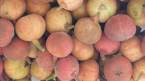 Do you know what is the only fruit that contains all the nutrients?
