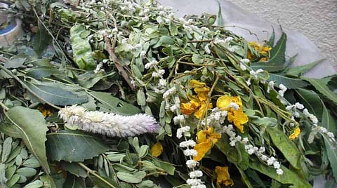 Sankaranthi Kaappukkattil Ithanai Maruthuvamaa?