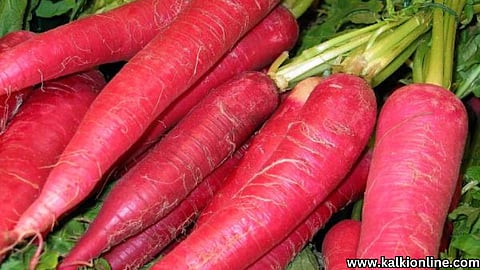 Red radish.