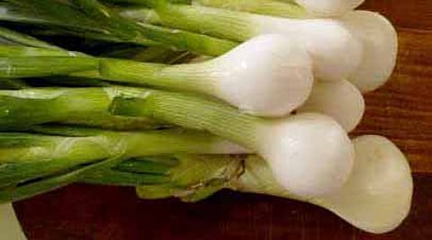So many benefits of Spring Onion