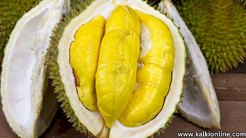 Durian Fruit benefits.