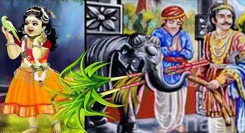 Do you know where the stone elephant that ate sugarcane is?