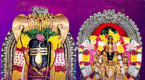 Sugavaneswarar Temple, which cures the Thosha of a lizard