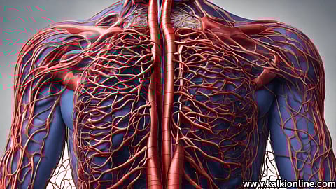 Eat these foods to keep blood flowing smoothly!