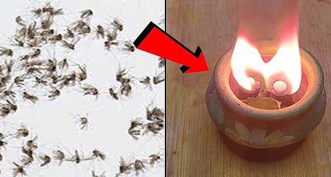 Do you know how to repel mosquitoes naturally?