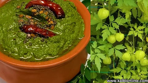 Mudakkathan keerai Chutney.