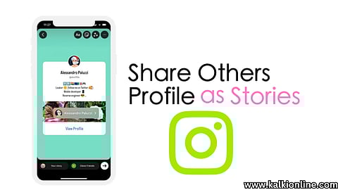 Someone's profile as an Instagram story.