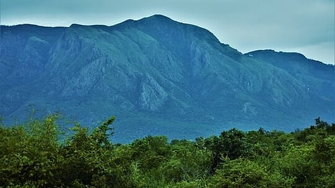 Nilgiri hills