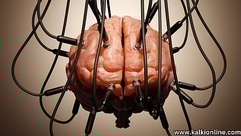 Brain Functions.