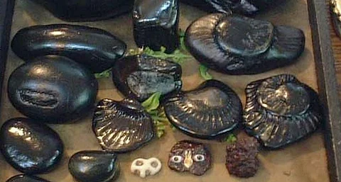 Do you know the benefits of worshiping salakrama stones at home?