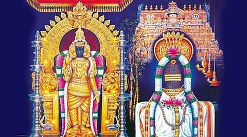 Nellaiappar temple music pillars that make different sounds!