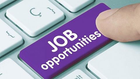 Government Job