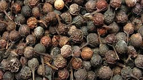 Vettai Noikku Marunthaakum Vaalmilagu