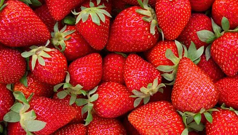 Do you know the glory of the love fruit strawberry?