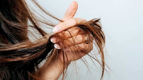 தலைமுடி பராமரிப்பு...