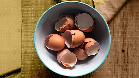 eggshells