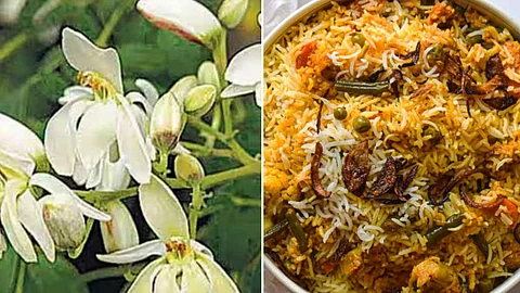 முருங்கைப்பூ பிரியாணி