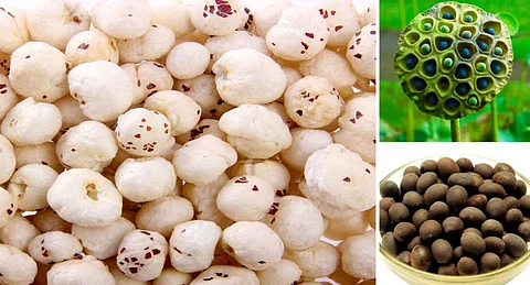 Benefits of lotus seeds
