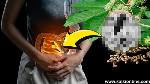 malachikkal home remedies in tamil
