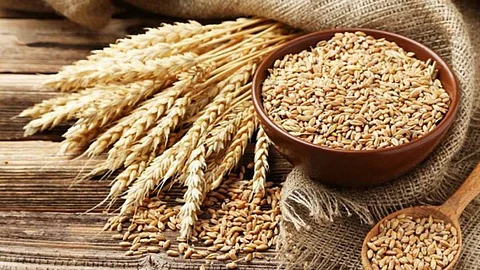So much goodness in wheat?