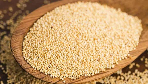 Health Benefits of Kasa Kasa