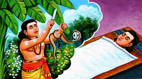 அடியாரை வணங்கிய அப்பூதியடிகள்...