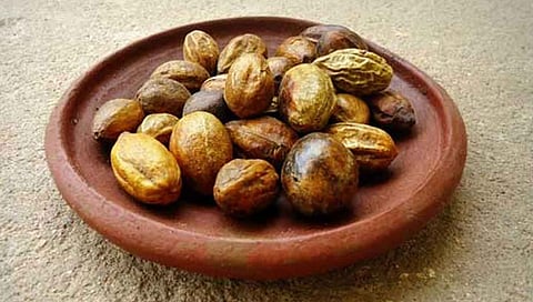 Medicinal Uses of Mustard