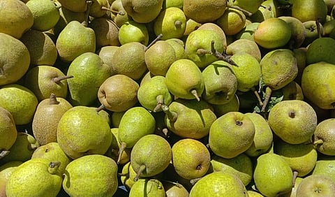 This is the cure for diabetes! Do you know?